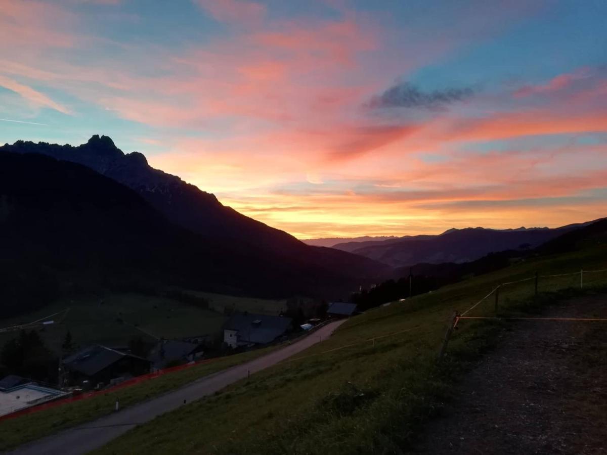 Bed and Breakfast Panorama Сесто Экстерьер фото